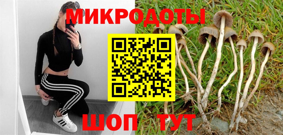 Псилоцибиновые грибы прущие грибы Шарыпово